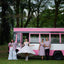Men's Shirt - Bus Mini Pink